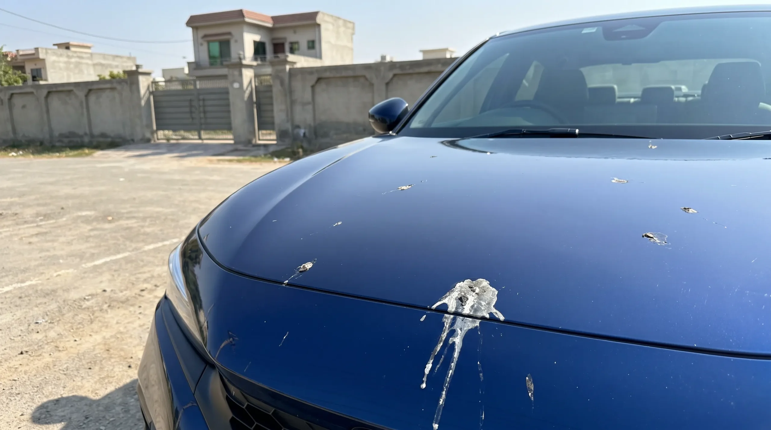 Bird droppings sitting on a car's glossy paint